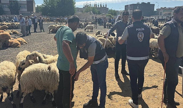 Urfa’da hayvan pazarında 337 şahıs sorgulandı!