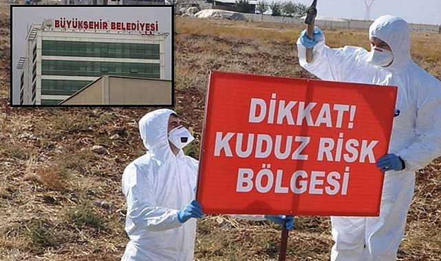 Urfa’da Kuduz Vakası! Bir Mahalle Karantinaya Alındı