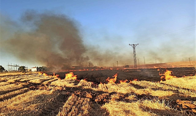 Anız Yangını Nedeni İle Şanlıurfa’da 16 Mahalle Elektriksiz Kaldı