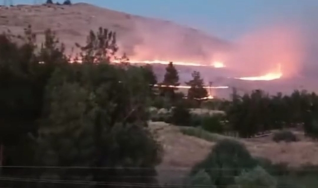 Bozova’da Orman Yangını!