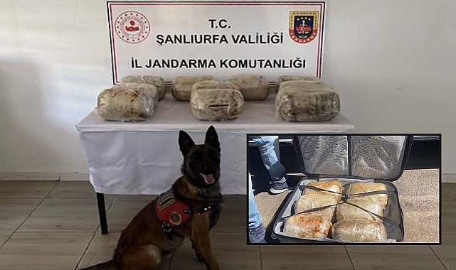 Şanlıurfa’ya Uyuşturucu Sevkiyatı Yapan Şahıs Yakalandı! 