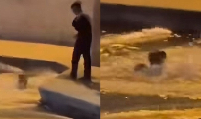 Sosyal Medya Paylaşımı İçin Balıklıgöl'de Yüzdü!