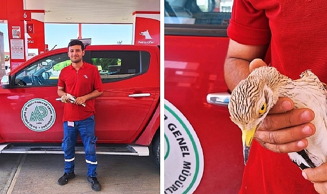 Urfa'da Bitkin Ve Yaralı Halde Bulundu!