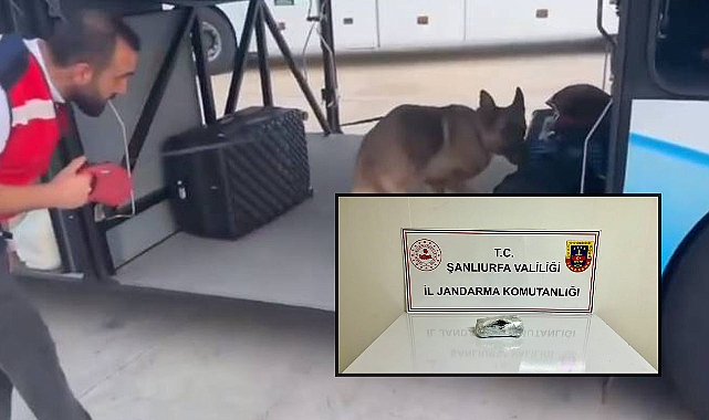 Urfa’da Durdurulan Otobüste Ele Geçirilen Madde Şaşırttı! 1 Gözaltı 