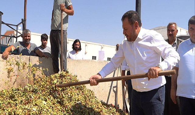 Başkan Yetim: Türkiye'de Fıstığın Yüzde Kırk Yedisi Şanlıurfa’da Üretiliyor