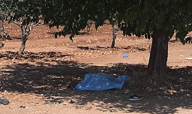 Bozova'da Cesedi Bulunan Gencin Kimliği Belli Oldu
