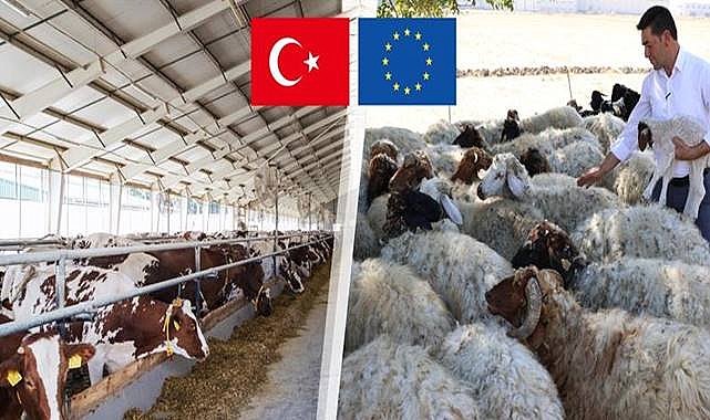 Bakanlık Açıkladı!  Hibe Tutarı 21,3 Milyar Liraya Ulaştı
