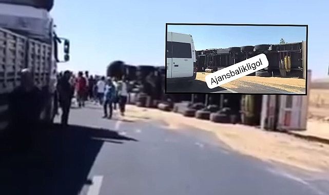 Hilvan’da Buğday Yüklü TIR Devrildi! Sürücü Yaralandı 