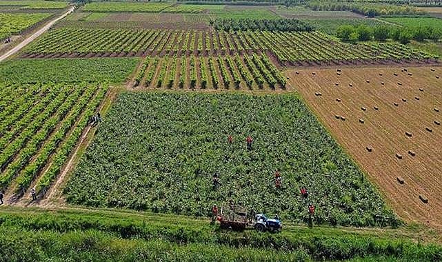Tarımsal Destek Ödemesi Çiftçilerin Hesaplarına Aktarılıyor