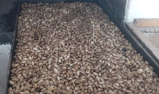 Urfa Fıstığını Kavurmak İçin Fırına Gönderdi!