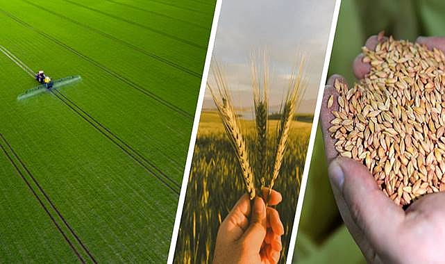Destekleme Ödemesi Üreticilerin Hesaplarına Aktarılıyor