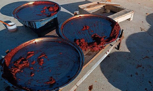 Elektrik Kesintisi Hırsızın İşine Yaradı! Damdaki Salçayı Çaldı