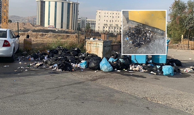 Haliliye İlçesinde Çöp Dağları Oluştu!