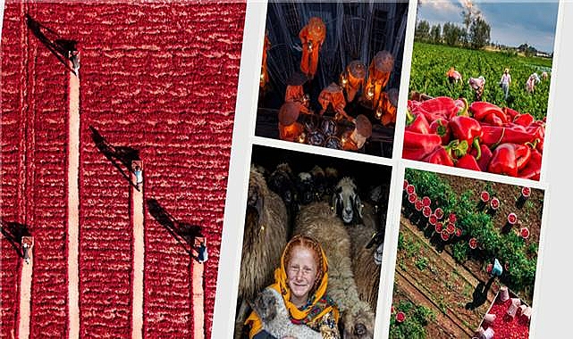 Tarım Orman Ve İnsan Fotoğraf Yarışması’nın Sonuçları Açıklandı
