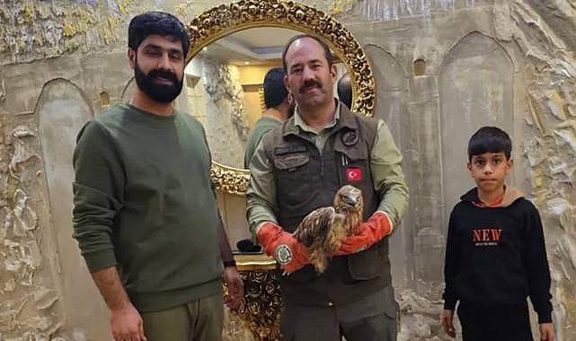 Urfa'da Bitkin Halde Bulunan Kızıl Şahin Tedaviye Alındı