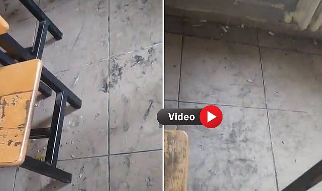 Urfa'da Okul Sınıfları Çöplük Yuvasına Döndü! 