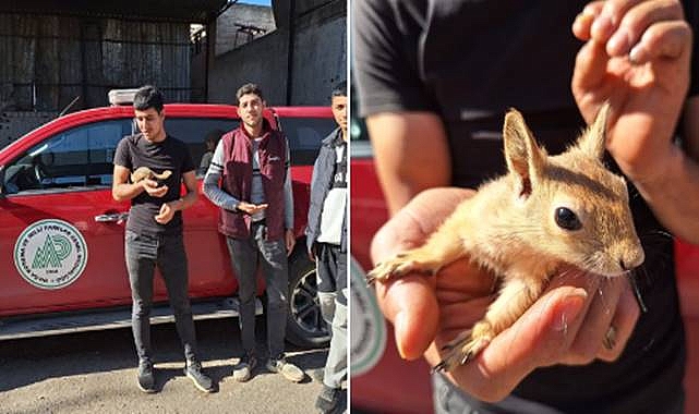 Gençler Yaralı Halde Buldu! DKMP'ye Teslim Edildi