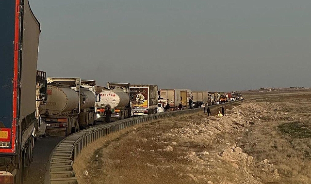 Tırdan Kaçan Büyükbaş Hayvanlar Trafiği Alt Üst Etti