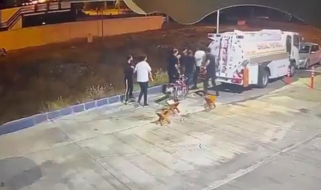Karaköprü'de Cinayet Olayı: Tutuklu Zanlıların Tahliye Edildiği İddia Edildi