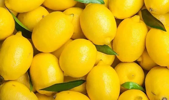 Kış Aylarında Limonun Faydaları: Bağışıklık Sistemini Güçlendiren Doğal Kaynak 