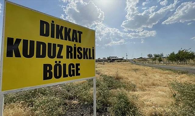 Urfa'da Kuduz Tedavisi Görüyor! 9 Yaşındaki Çocuktan Acı Haber