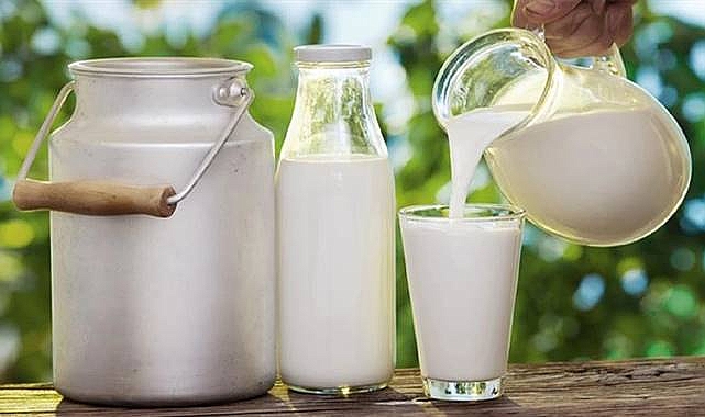 Çiğ Süt Hakkında Bilinmesi Gereken 5 Önemli Nokta! Hayati Riske Yol Açabiliyor!