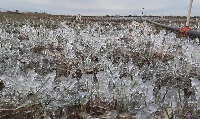 Meteoroloji Uyardı! Şanlıurfa Donmaya Devam Edecek 