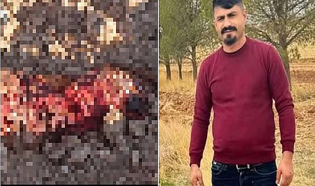 Şanlıurfa'da Toprağa Gömülü Ceset Olayında Yeni Gelişme