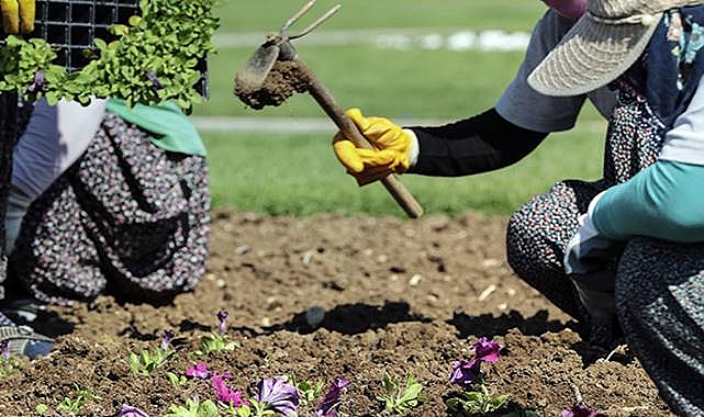 Şehir Peyzajlarına Bakanlık Standardı Geliyor