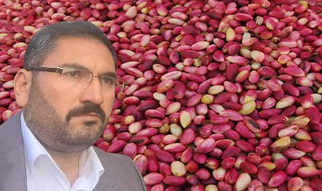 Fıstık Üreticileri Birliği Başkanı Faruk Akbaş, Yatırımcılara Çağrıda Bulundu