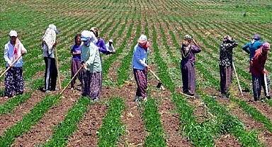Hilvan’da Tarım İşçisi Yevmiyeleri Netleşti!