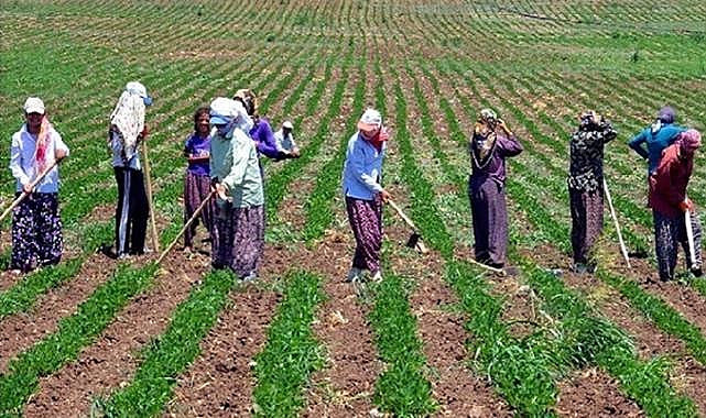 Hilvan’da Tarım İşçisi Yevmiyeleri Netleşti!