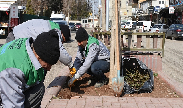 Hilvan’da Yeşil Alanlar Bahara Hazırlanıyor