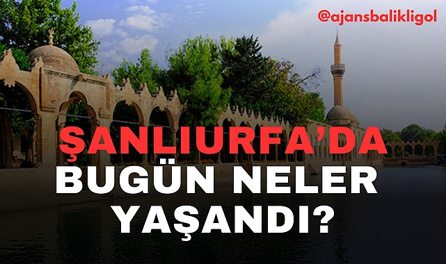 Şanlıurfa'da Bugün Neler Yaşandı?