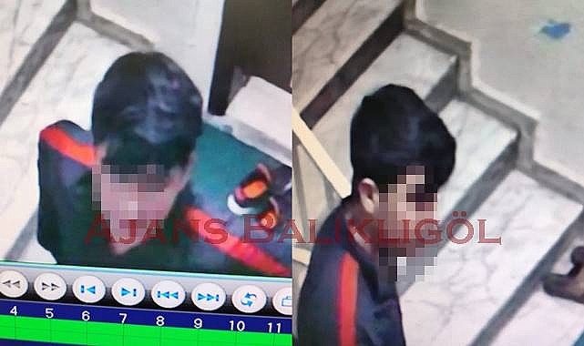 Şanlıurfa’da Hırsızlar Güvenlik Kamerasına Yakalandı  