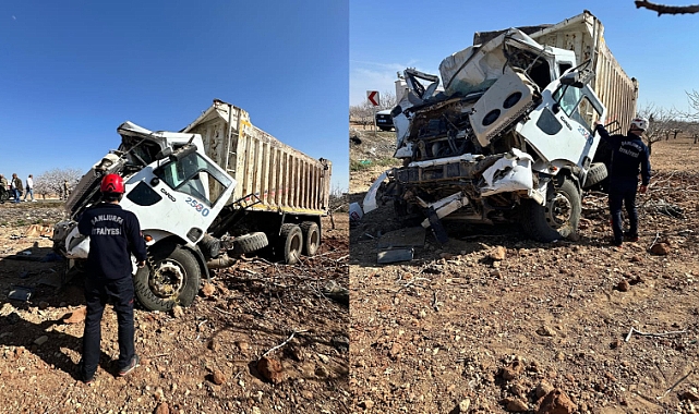 Şanlıurfa'da Kamyon Fıstık Bahçesine Daldı! Sürücü Ağır Yaralandı