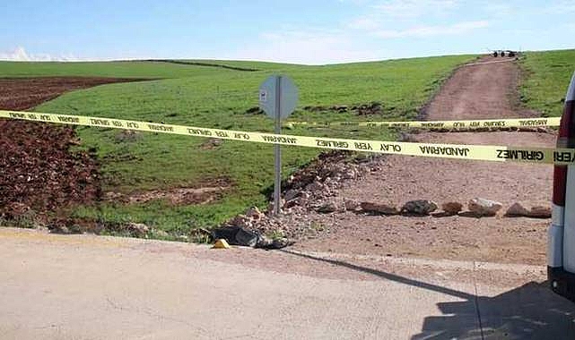 Şanlıurfa'da Korkunç Cinayet: Bebeği Öldürüp 105 Km Uzağa Bıraktılar