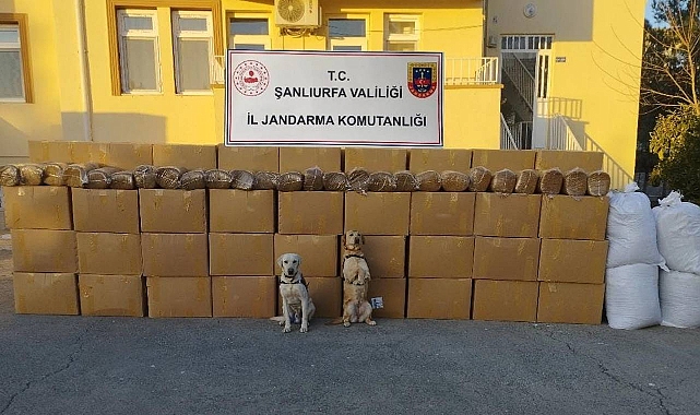 Şanlıurfa’da Tonlarca Kaçak Ürün Ele Geçirildi!