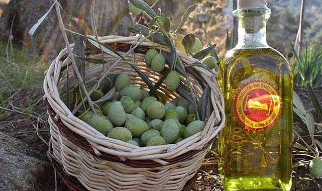 Türkiye Zeytini Avrupa Pazarında Güçleniyor