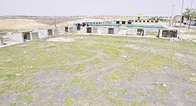 Ceylanpınar’da Sahipsiz Sokak Hayvanları İçin Geçici Barınak Yapılıyor 
