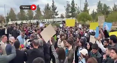 Harran Üniversitesi'nde "Sevda Özkaya" Protestosu: Başıboş Köpek Sorunu Gündemde