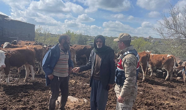Hayvan Hırsızına JASAT Darbesi: 13 Büyükbaş Hayvan Sahibine Teslim Edildi