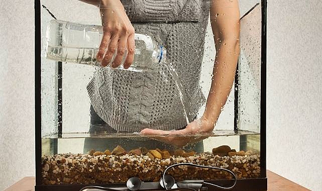 Küçük Akvaryumların Bakımı ve Temizliği Nasıl Yapılır?