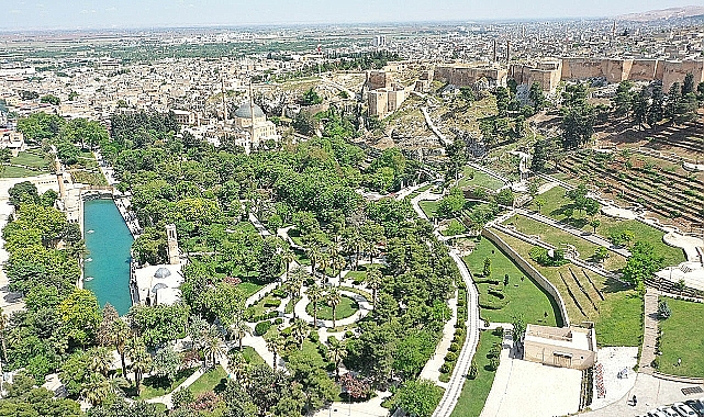 Şanlıurfa'da Kaç Mahalle Var?