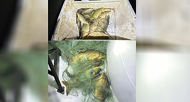 Şanlıurfa'da Kaçak Balık Avcıları Suçüstü Yakalandı!