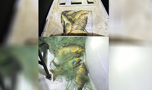 Şanlıurfa'da Kaçak Balık Avcıları Suçüstü Yakalandı!