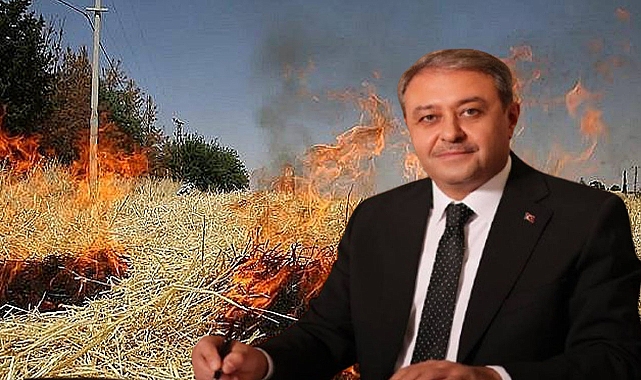 Şanlıurfa’da Hububat Hasadı Başladı: Vali Şıldak’tan Üreticilere Uyarı! 