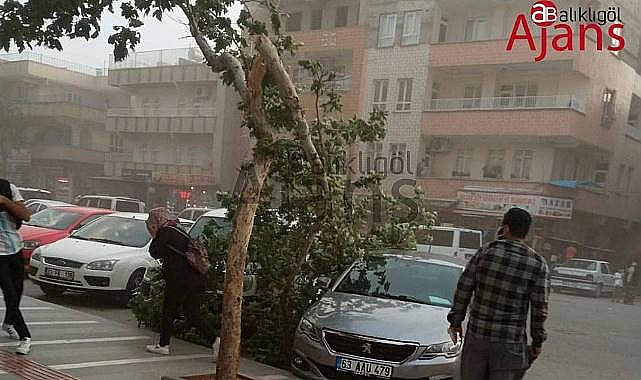Şanlıurfa'da Kuvvetli Rüzgar ve Fırtına Uyarısı!