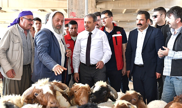 Urfa'da İlçe İlçe Kurban Satış ve Kesim Yerleri Belli Oldu
