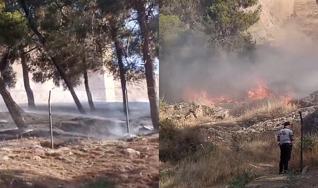Balıklıgöl'de Ağaçlık Alanda Yangın Paniği